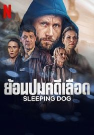 ดูหนังออนไลน์ฟรี 2024 เต็มเรื่องพากย์ไทย หนังผจญภัย